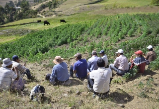 Agricultores en el Valle de Condebamba