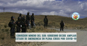 Foto: Miguel Gutierrez Chero / Imagen referencial