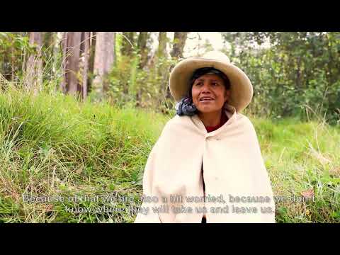 Embedded thumbnail for Guardianxs del Agua: Gloria Mosquera Gutierrez, La Encañada
